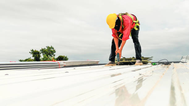 Best Green or Eco-Friendly Roofing Solutions  in Hanover, MN